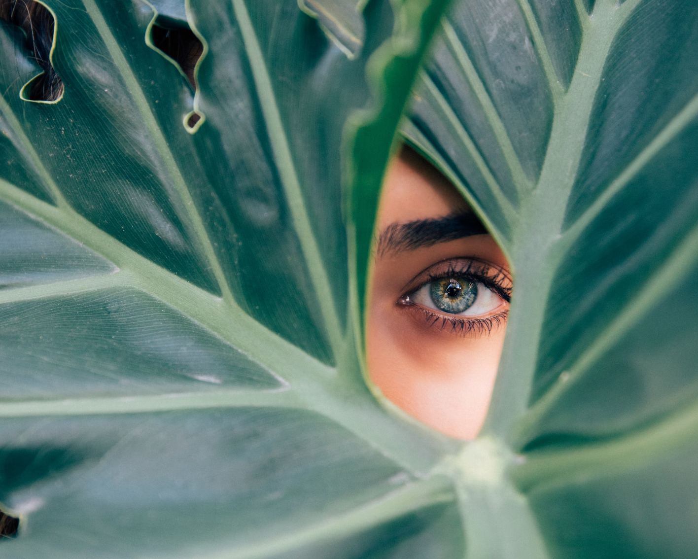 Dudley Gann Explains: What Is Greenwashing and How to Avoid It